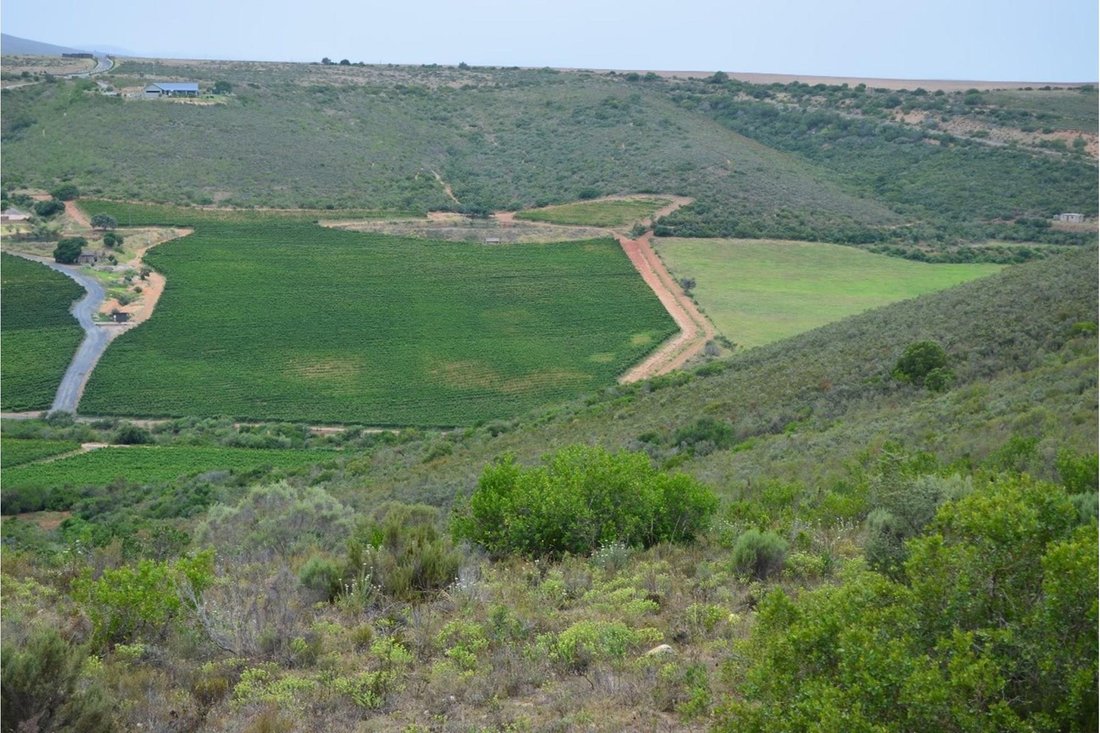Beautiful Farm Next To Jakkalsvlei In Albertinia, Western Cape, South