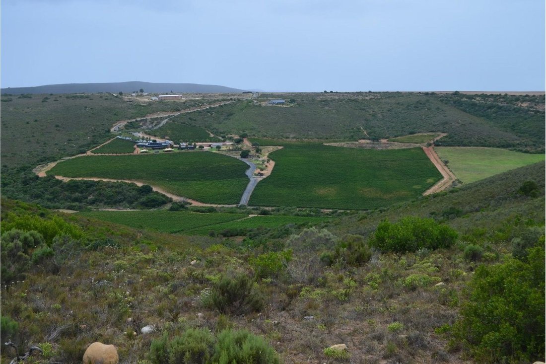 Beautiful Farm Next To Jakkalsvlei In Albertinia, Western Cape, South