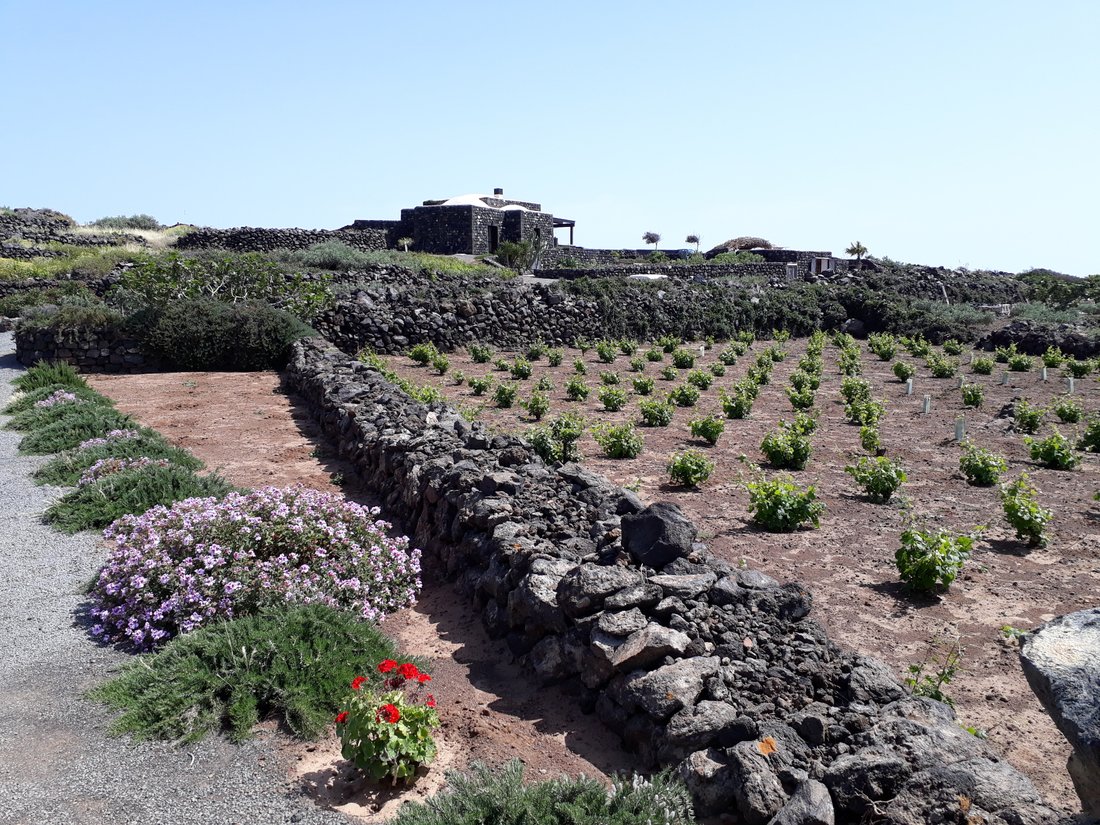 Villa in Pantelleria, Sicily, Italy 5 - 13939605