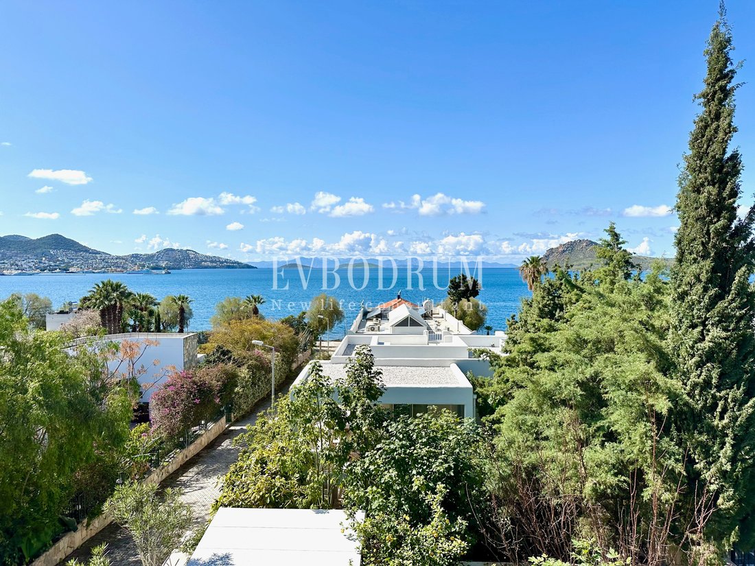 Villa in Bodrum, Muğla, Turkey 1 - 13930551