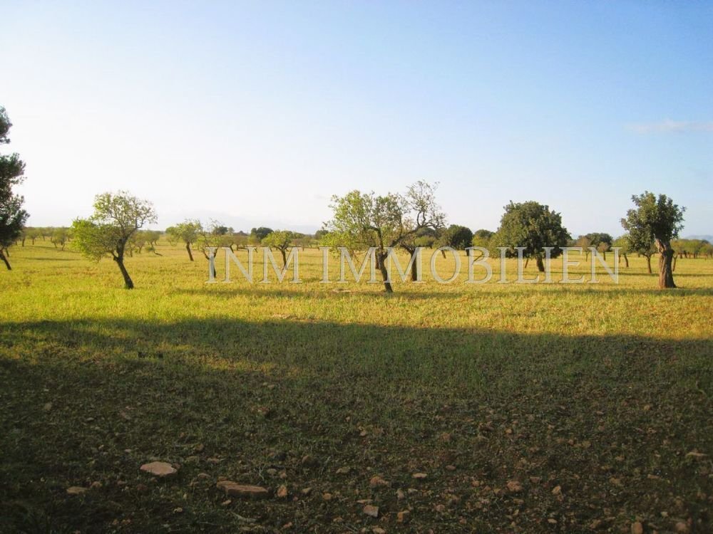 Finca in Santa Margalida, Balearic Islands, Spain 5 - 13548273