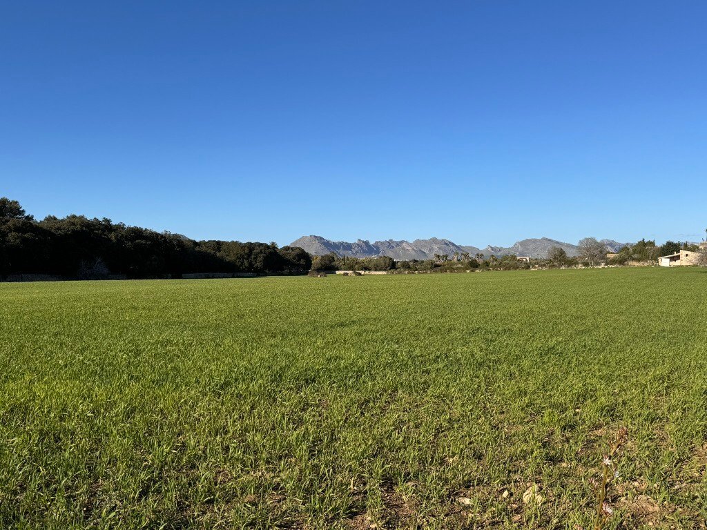 Land in Alcudia, Balearic Islands, Spain 5 - 13931104