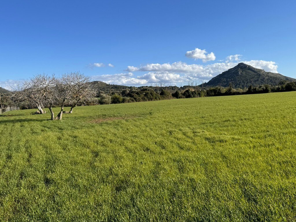 Land in Alcudia, Balearic Islands, Spain 4 - 13931104