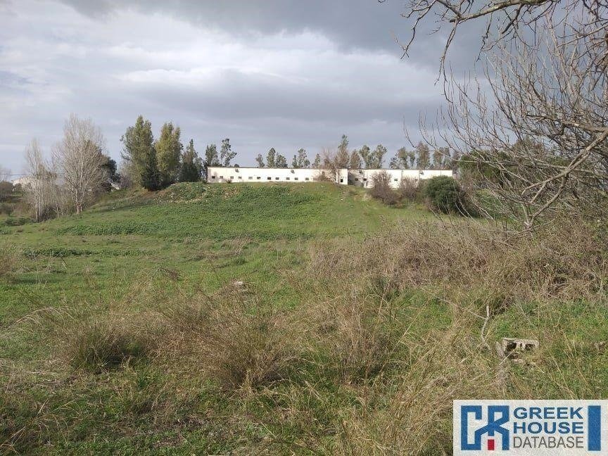 Land in Oropos, Attica, Greece 1 - 13933417