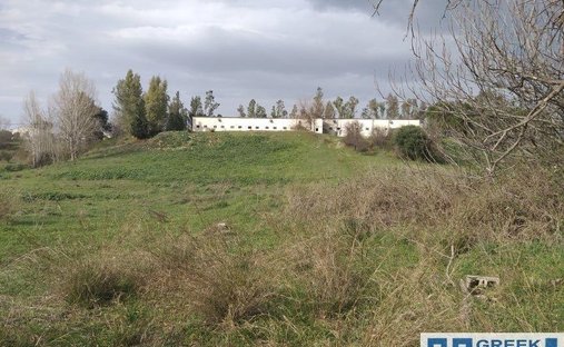 Land in Oropos, Attika, Griechenland 1