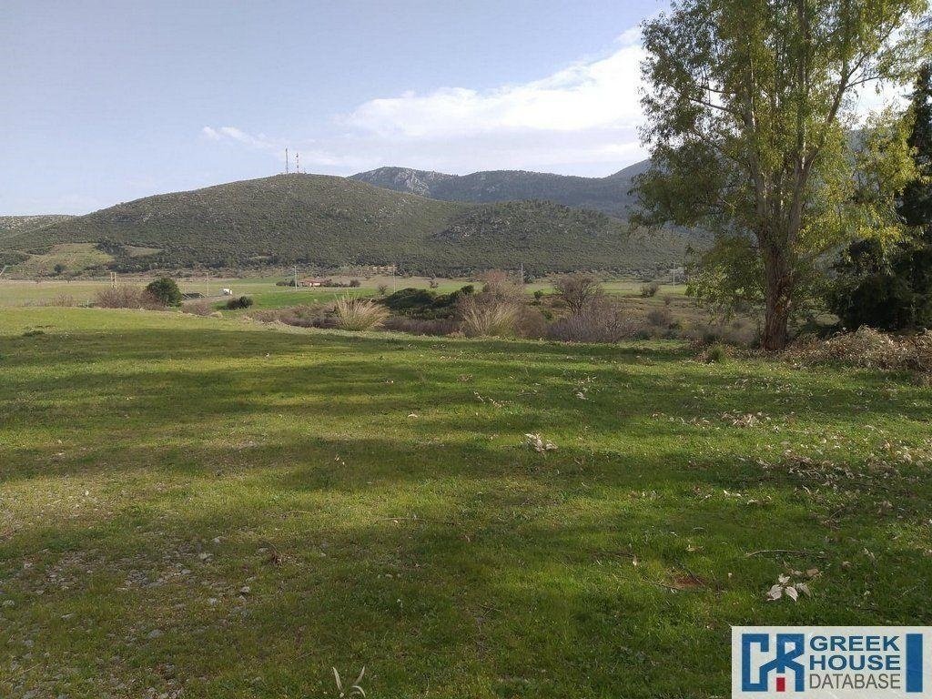 Land in Oropos, Attica, Greece 3 - 13933417