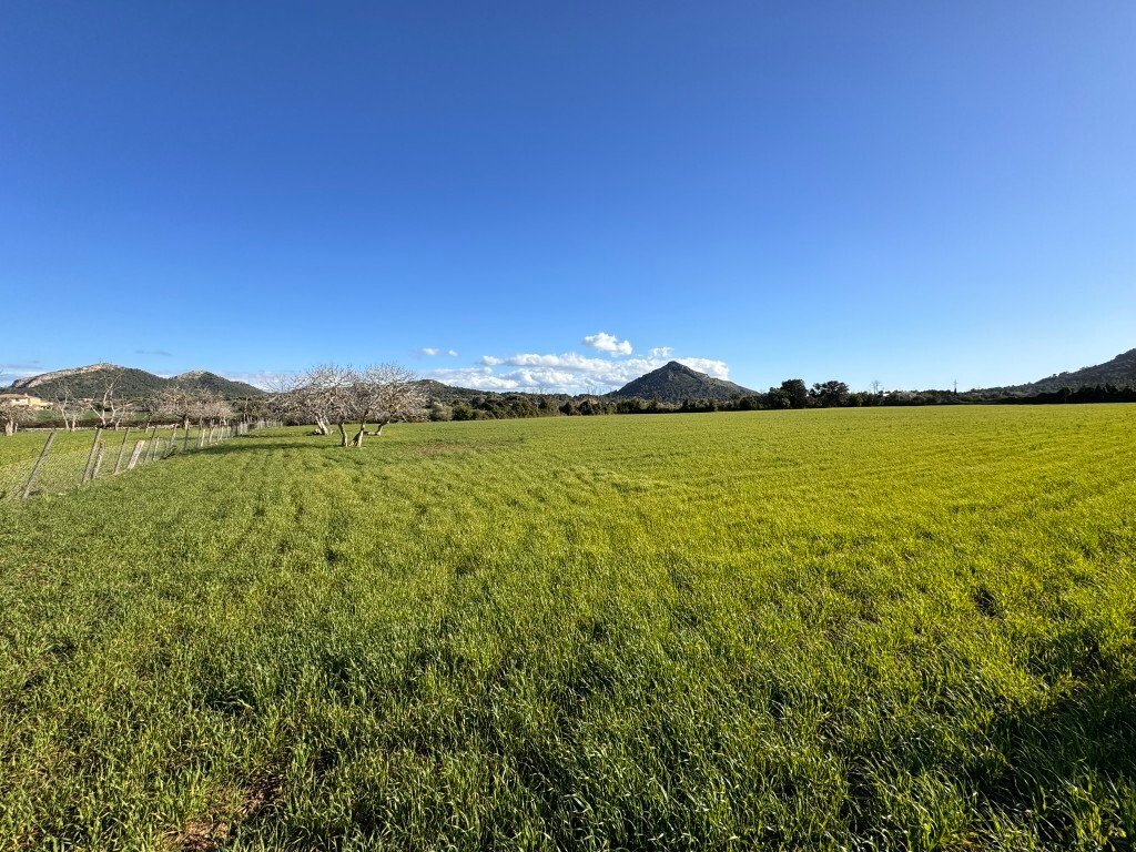 Land in Alcudia, Balearic Islands, Spain 1 - 13931104