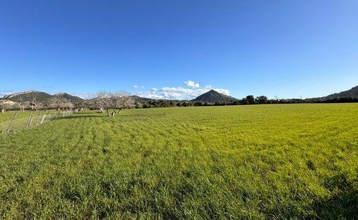 Land in Alcudia, Balearic Islands, Spain 1