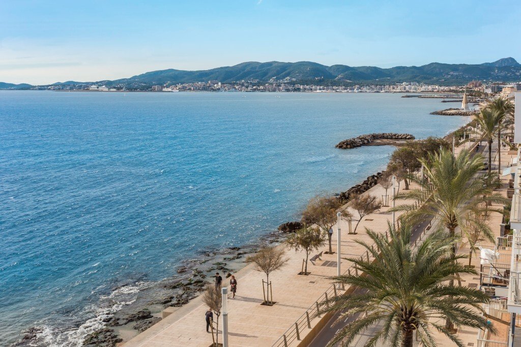Land in Palma, Balearic Islands, Spain 3 - 13931445
