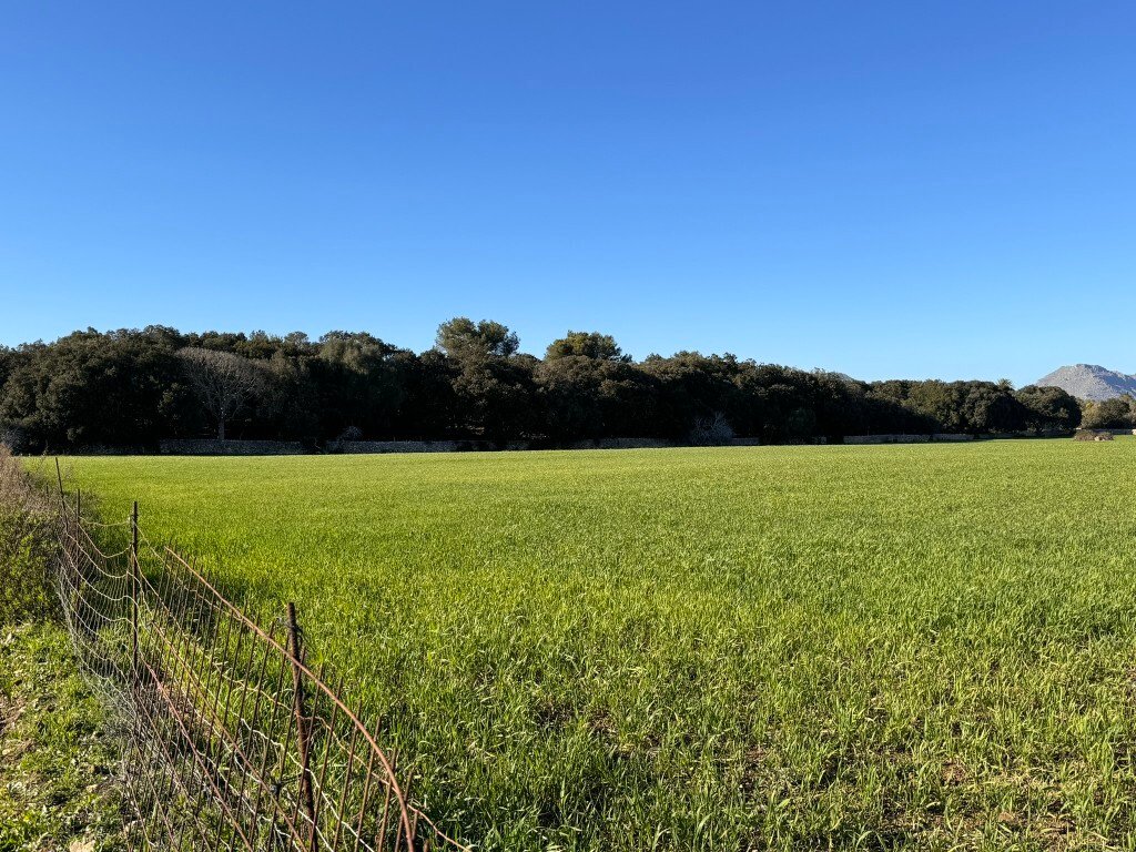 Land in Alcudia, Balearic Islands, Spain 2 - 13931104