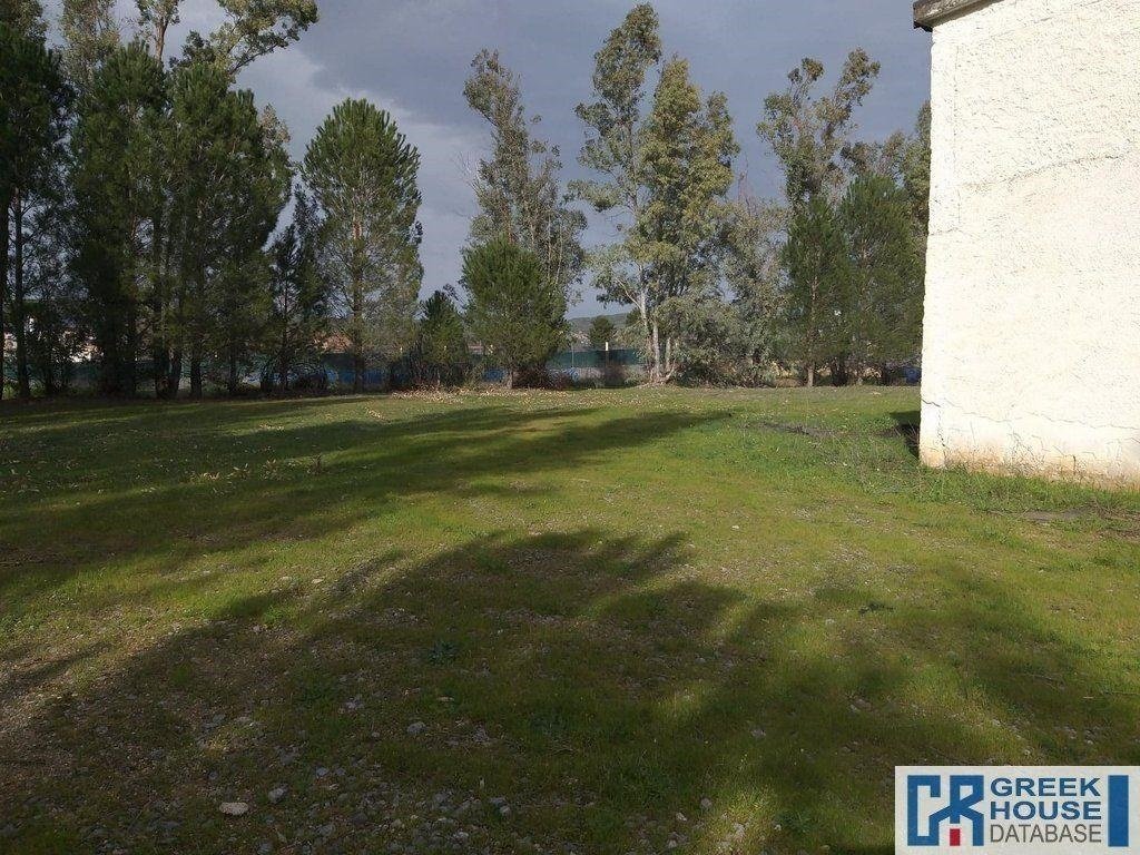 Land in Oropos, Attica, Greece 4 - 13933417