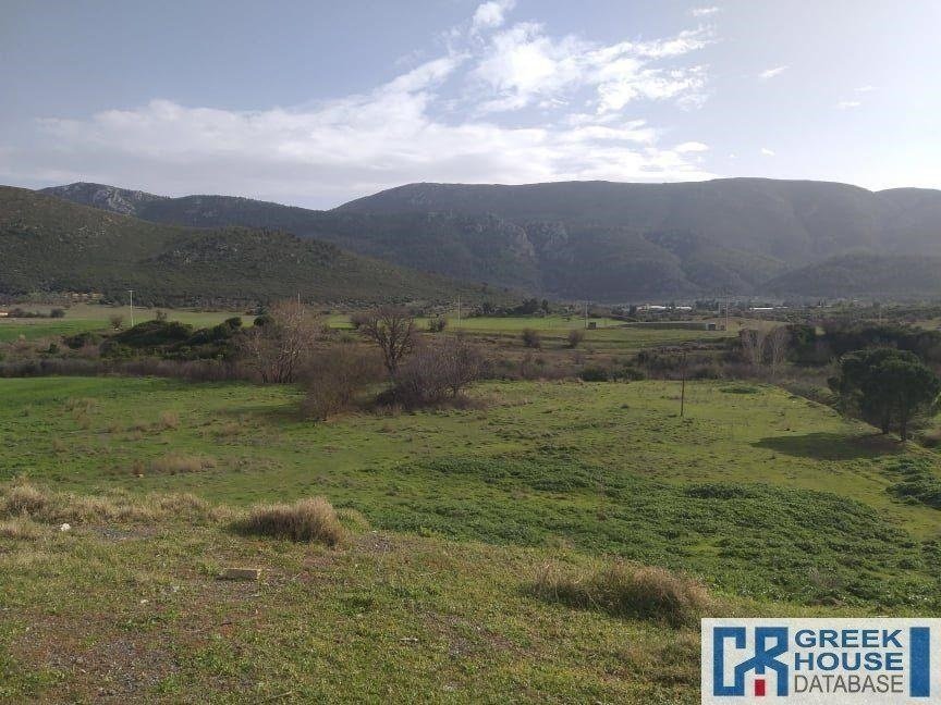Land in Oropos, Attica, Greece 2 - 13933417