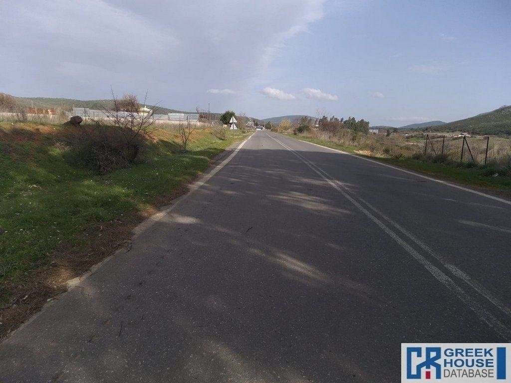 Land in Oropos, Attica, Greece 5 - 13933417