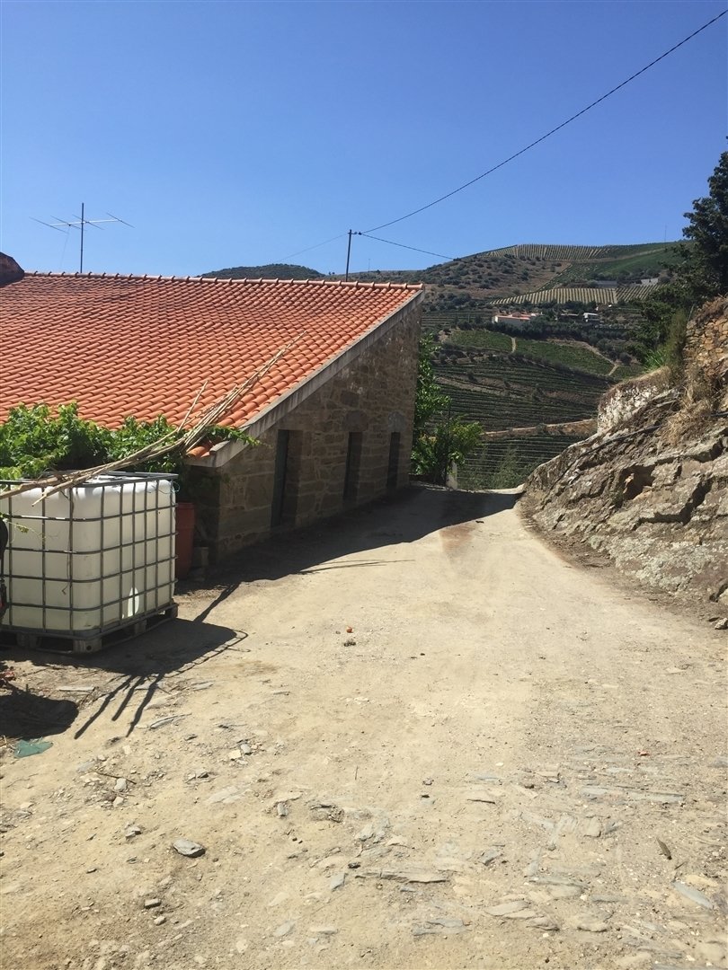 Farm Ranch in Ervedosa do Douro, Viseu District, Portugal 4 - 13931090