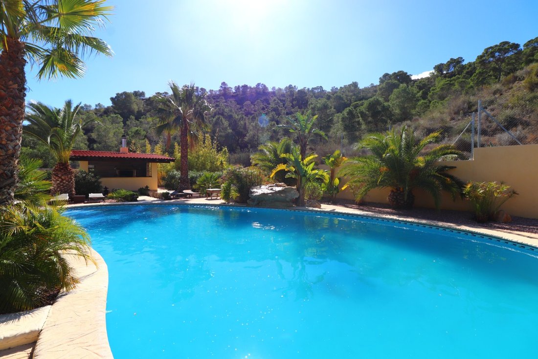 Country House in Aspe, Valencian Community, Spain 2 - 13931102