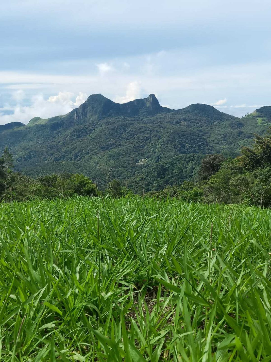 House in Sorá, Coclé Province, Panama 3 - 13936520