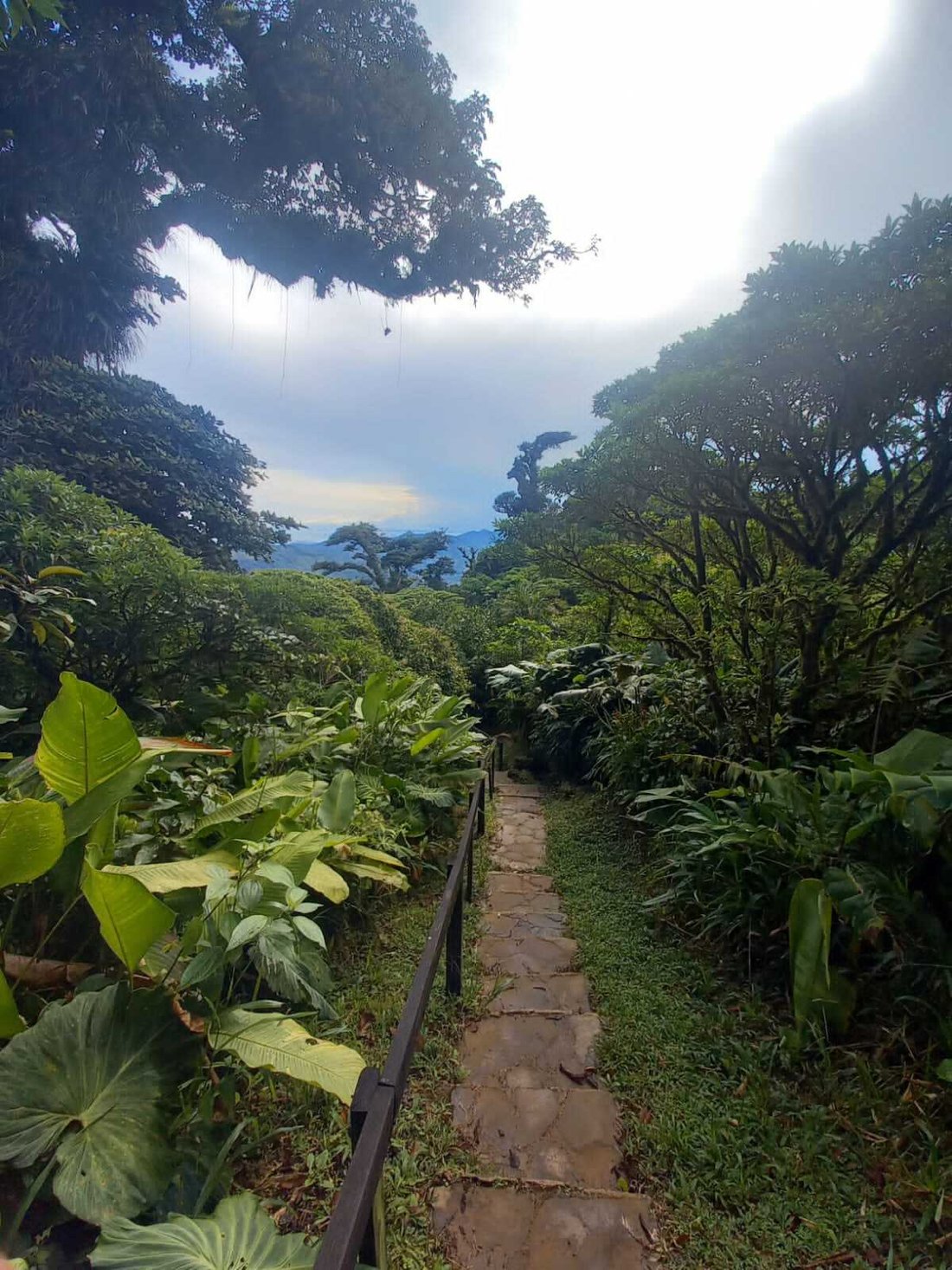 House in Sorá, Coclé Province, Panama 4 - 13936520