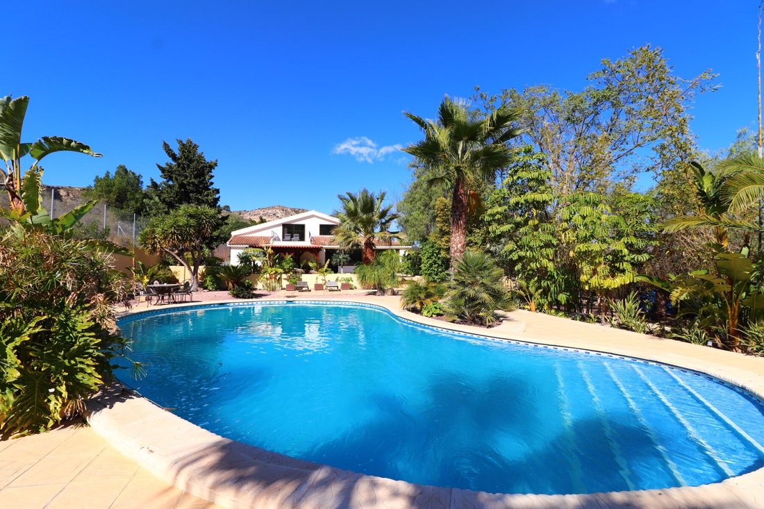 Country House in Aspe, Valencian Community, Spain 1 - 13931102