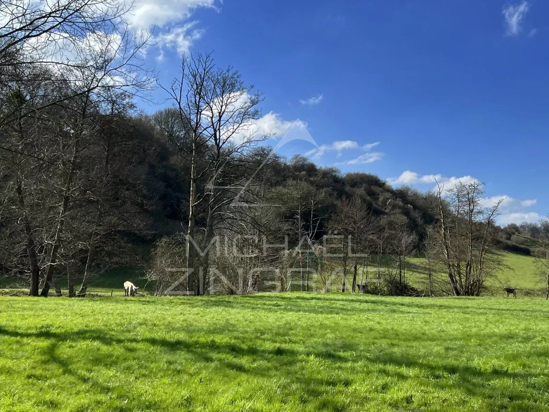 Equestrian Property In The Pays D'auge. In Lisieux, Normandy, France For Sale (13937558)