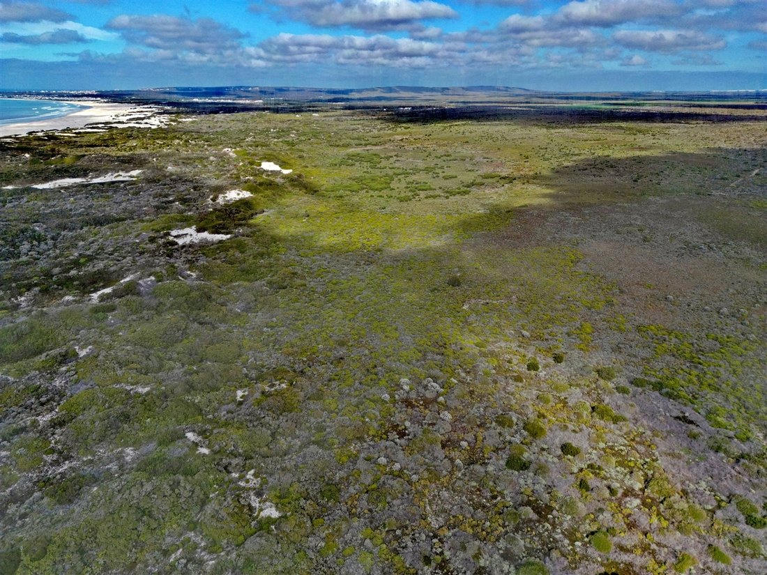 Land in Cape Agulhas Local Municipality, Western Cape, South Africa 2 - 13935230
