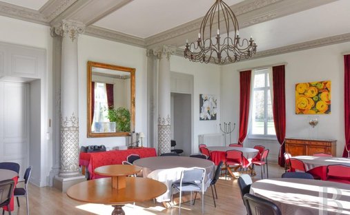 Chateau With Its Lodges For Sale On A Part Wooded 71 Acre Estate With Lake In South Touraine.