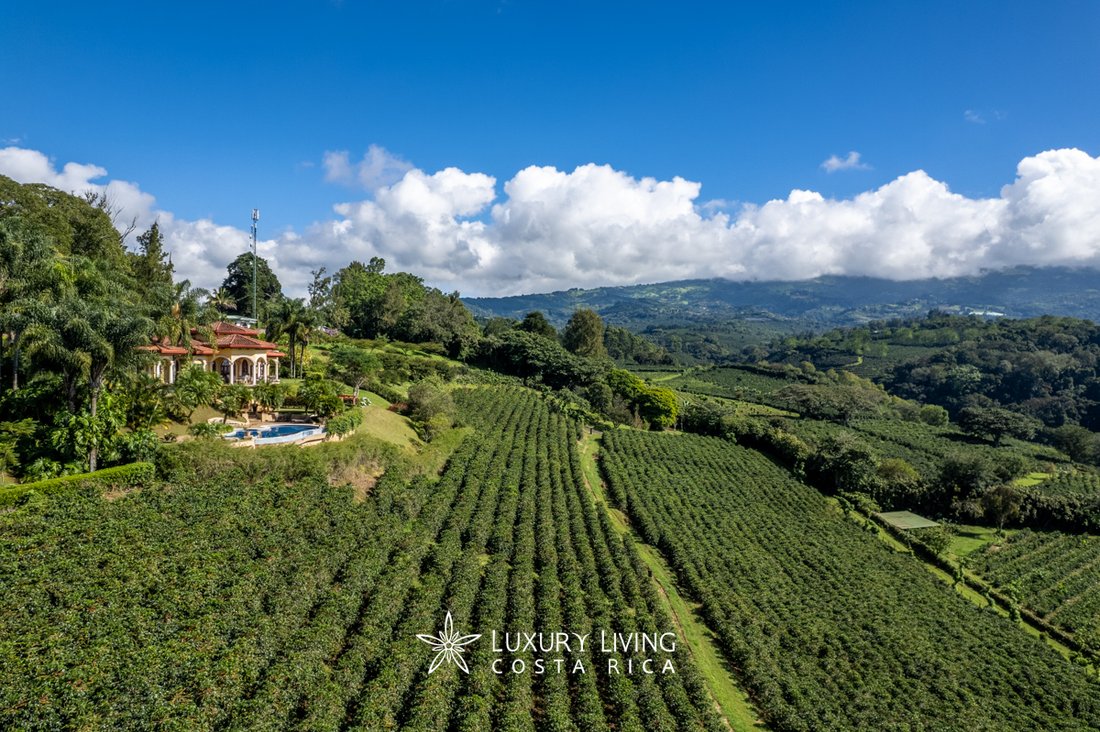 Maison à Alajuela, Costa Rica 2 - 12379702