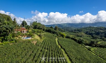 Maison à Alajuela, Costa Rica 1
