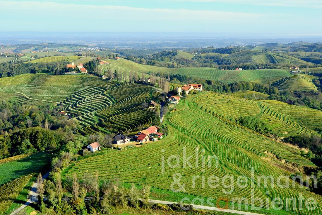 Farm Ranch in Jeruzalem, Ljutomer, Slovenia 1 - 11425655