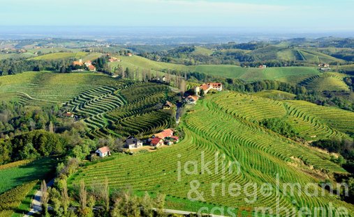 Azienda agricola a Jeruzalem, Ljutomer, Slovenia 1