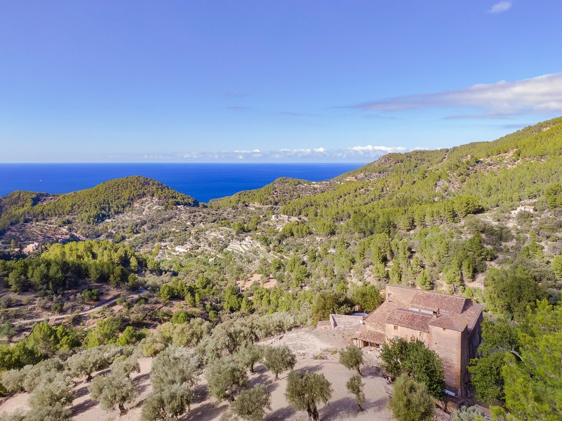 Maisons de campagne en Estellencs, Îles Baléares, Espagne 3 - 13942069