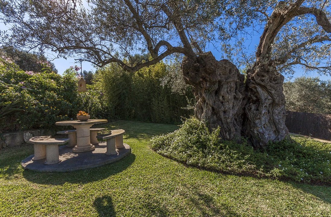 Country House in Pollenca, Balearic Islands, Spain 5 - 13942136