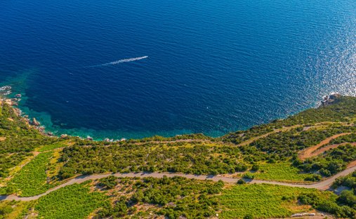 Terreno a Kuna Pelješka, Regione raguseo-narentana, Croazia 1