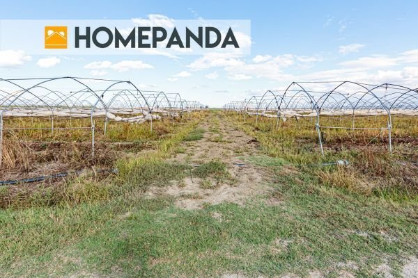 Country House in Mirandola, Emilia-Romagna, Italy 3 - 12427697