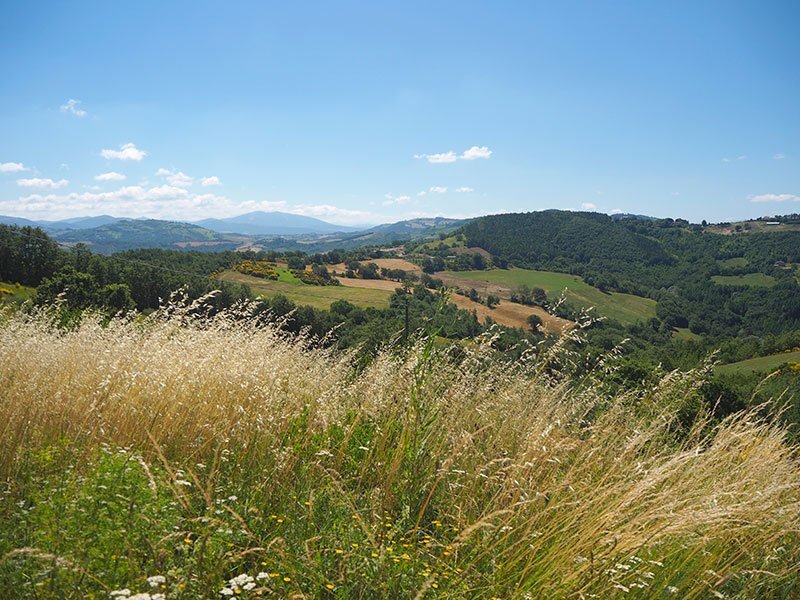Country House in Gubbio, Umbria, Italy 2 - 13942010