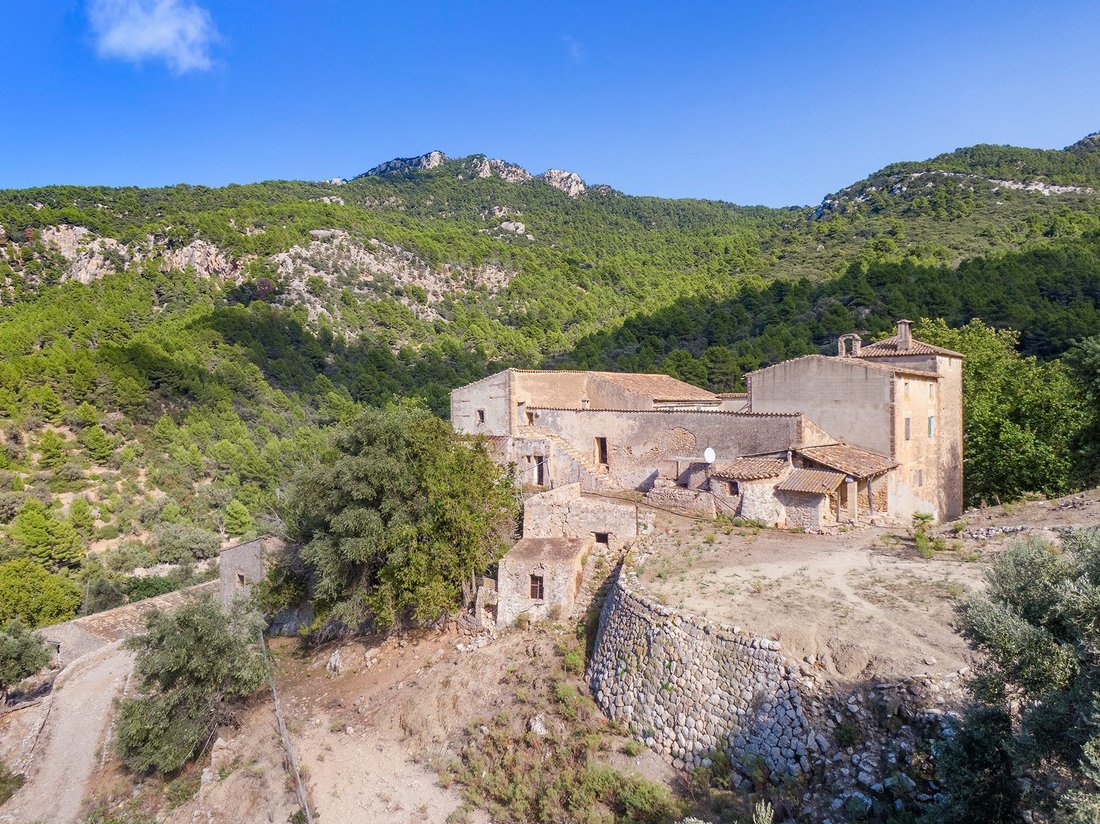 Maisons de campagne en Estellencs, Îles Baléares, Espagne 5 - 13942069
