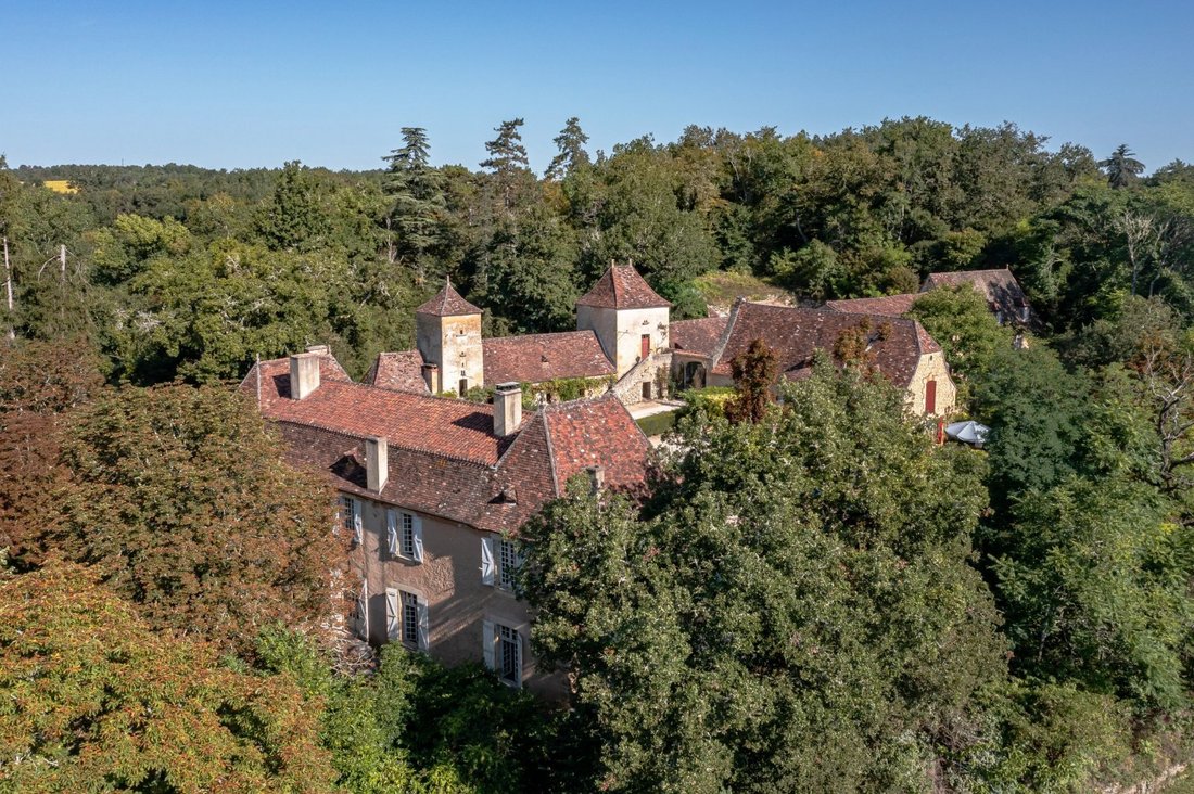 Country House in Le Bugue, Nouvelle-Aquitaine, France 4 - 13941987