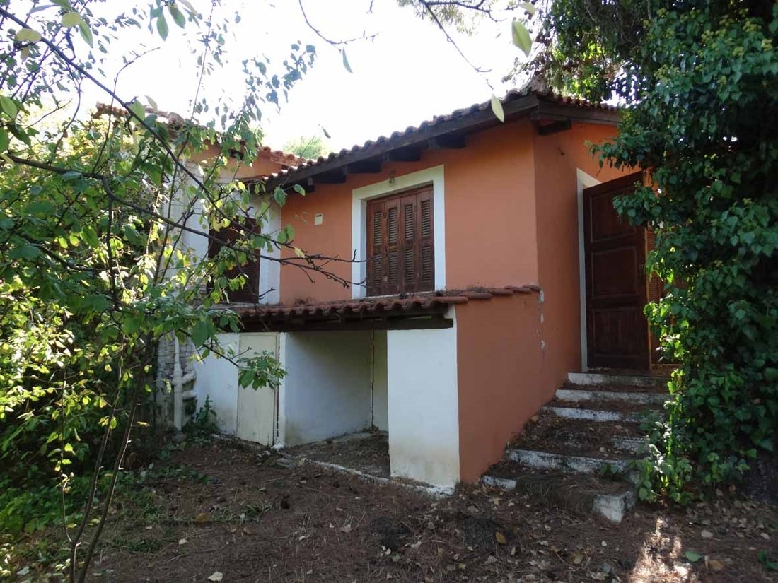 Land in Dionysos, Attica, Greece 1 - 13944608