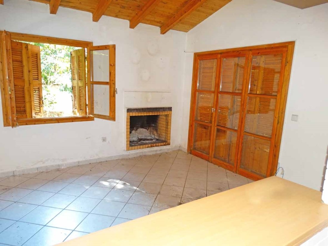 Land in Dionysos, Attica, Greece 3 - 13944608