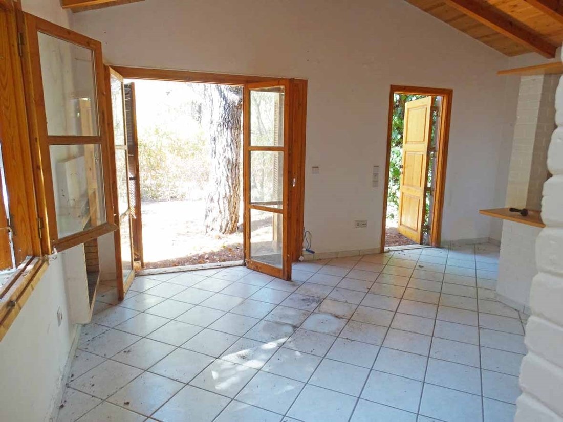 Land in Dionysos, Attica, Greece 2 - 13944608