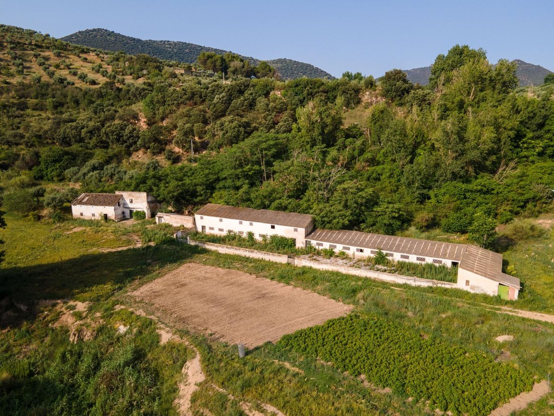 Land in Cambil, Andalusia, Spain 1 - 13948863