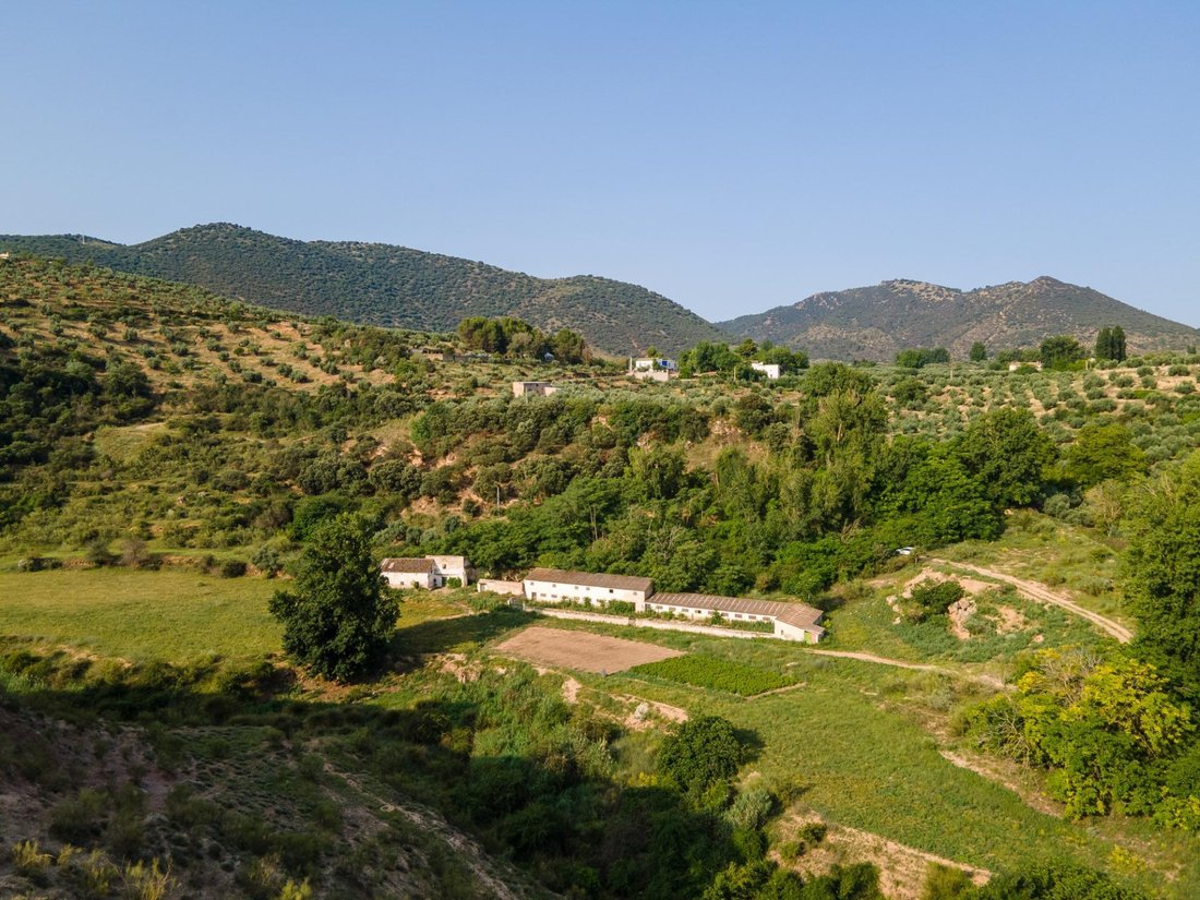 Land in Cambil, Andalusia, Spain 2 - 13948863