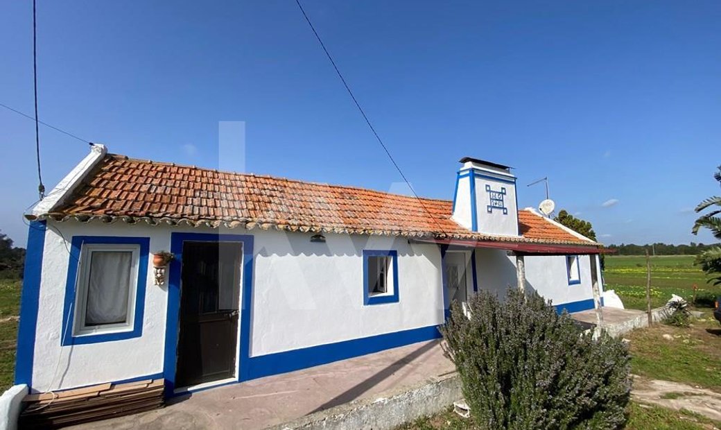 Herdade Com Habitação E Dois Furos Em Melides A In Melides, Setubal