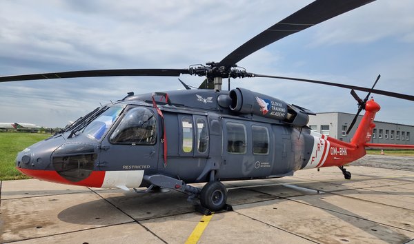 Sikorsky UH-60 Blachawk (13949428)