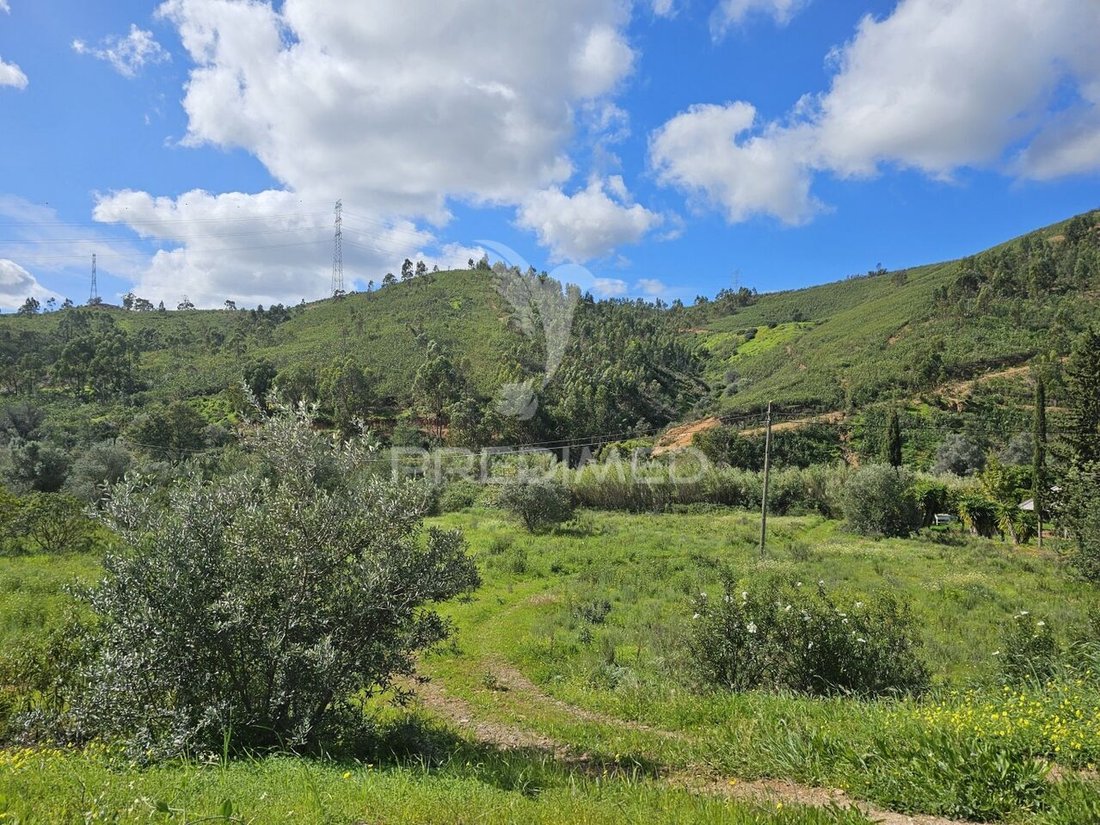 Land in Algoz e Tunes, Algarve, Portugal 5 - 13952276