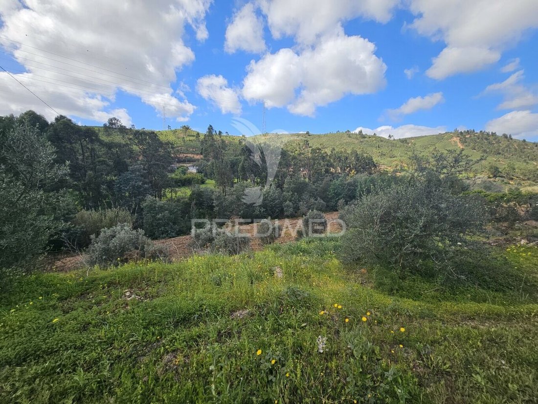 Land in Algoz e Tunes, Algarve, Portugal 4 - 13952276