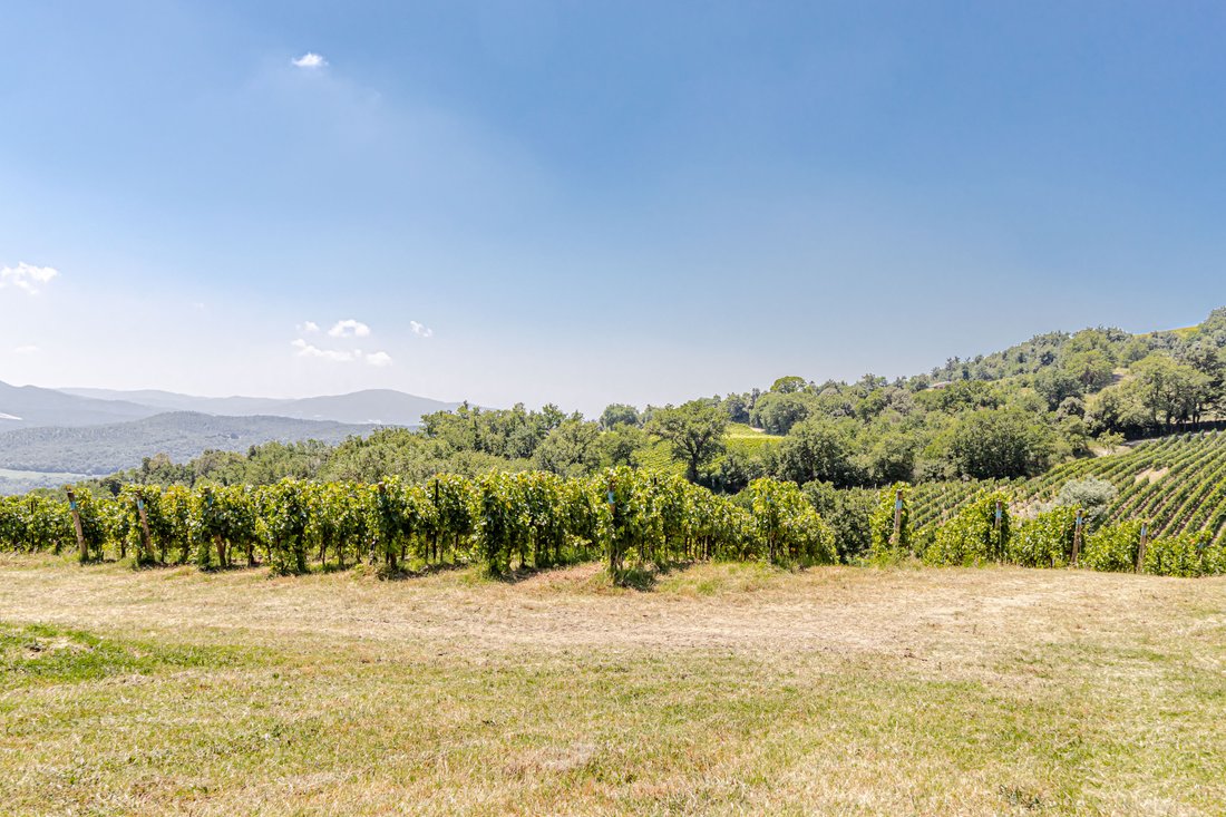 Villa in Montecatini Val di Cecina, Tuscany, Italy 2 - 13955321