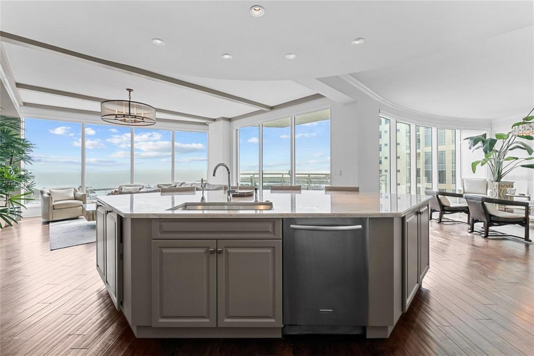 Condo in St. Petersburg, Florida, United States 4 - 13961161
