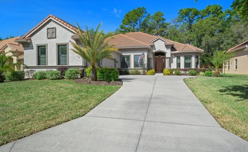 House in Hernando, Florida, United States 1