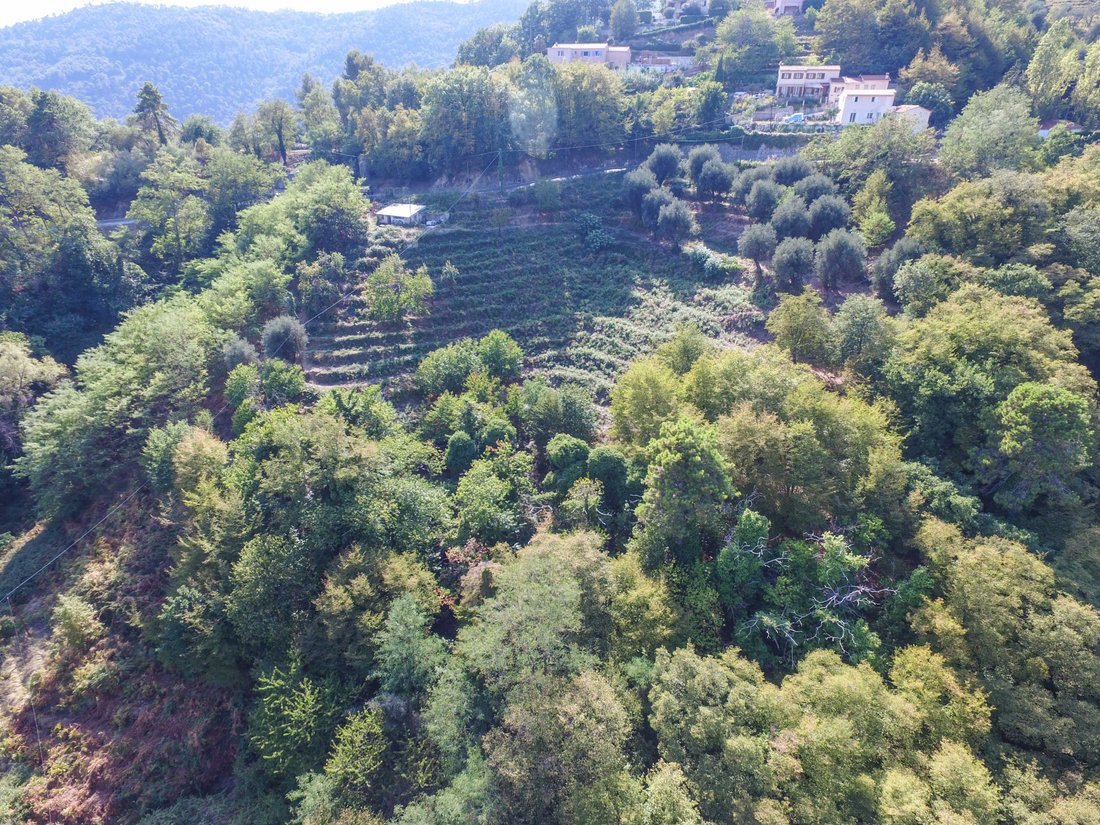 Sainte-Agnes, Provence-Alpes-Côte d'Azur, France 4 - 12256350
