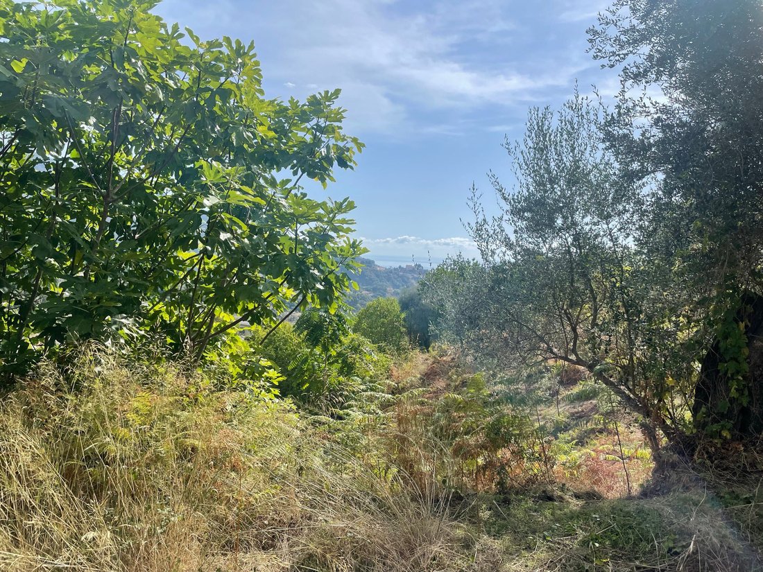 Sainte-Agnes, Provence-Alpes-Côte d'Azur, France 3 - 12256350